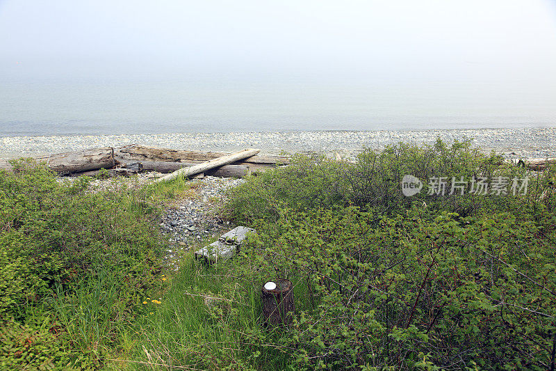 自然和狂野的西海岸海滩