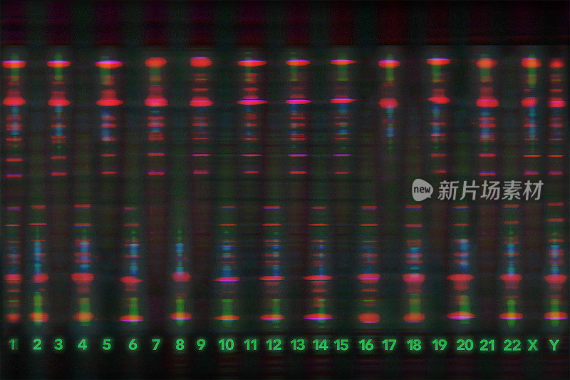 发光的DNA序列
