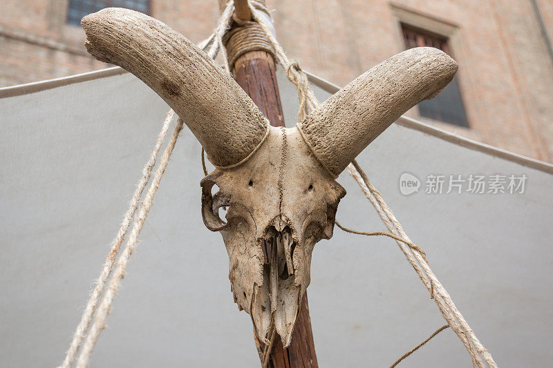 动物头骨填充白角，用绳子挂在木杆上