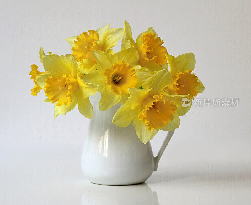 花瓶里的一束黄色水仙花。春天水仙花儿。