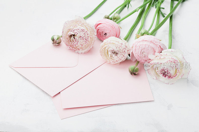 信封或信件，纸卡和粉红色毛茛花。在母亲节或妇女节问候。
