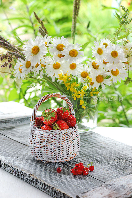 白色柳条篮子与草莓和红加仑子在一束雏菊的背景。