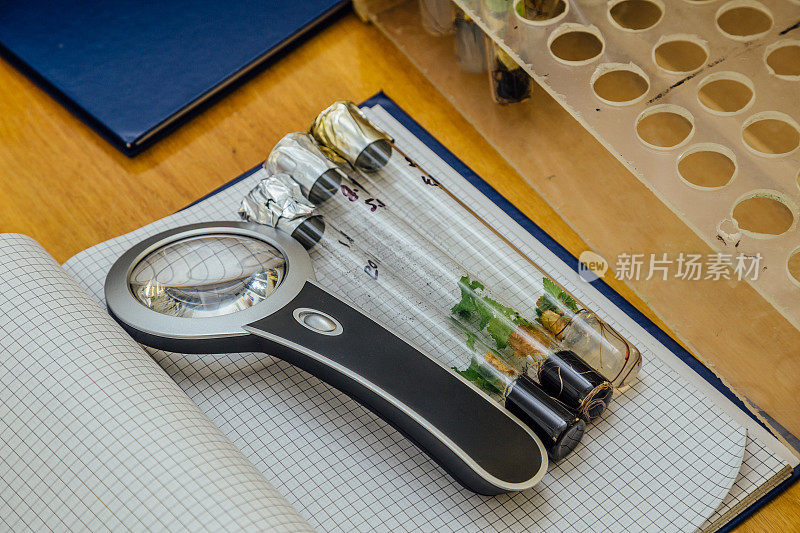 在木桌上的格子笔记本上放着三个试管，试管里放着营养培养基中的试管和放大镜