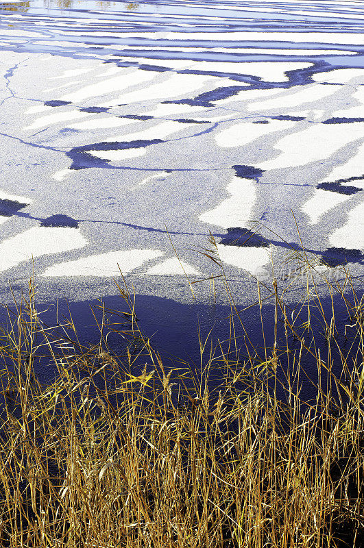 冰冻的湖冰和芦苇