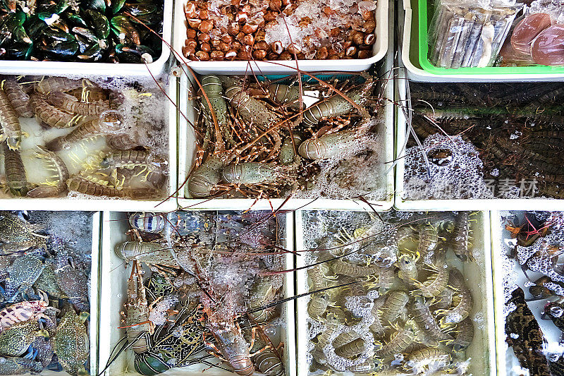 从高处俯瞰泰国普吉岛的鱼市，可以看到各种鲜活的新鲜海水，包括螳螂虾、贻贝、贝壳、蜗牛、龙虾、螃蟹、石斑鱼、虎虾等