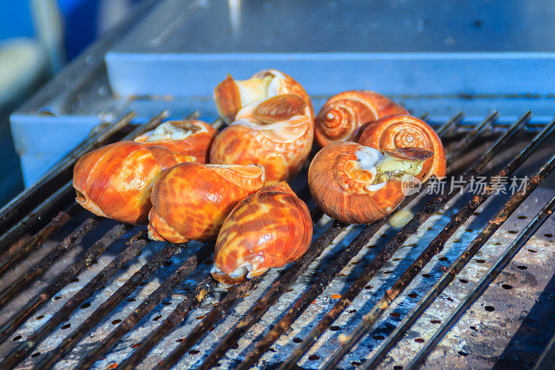 斑点巴比伦(巴比伦的areolata)烤在木炭炉上出售在曼谷街头，泰国。