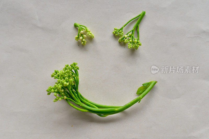 将绿色锡兰菠菜或东印度菠菜做成笑脸纸