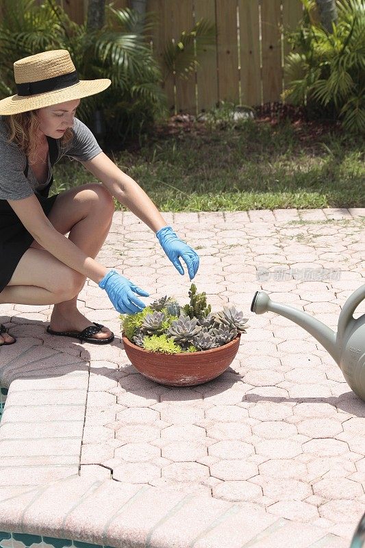 年轻女子在花园里种植多肉植物。园丁。