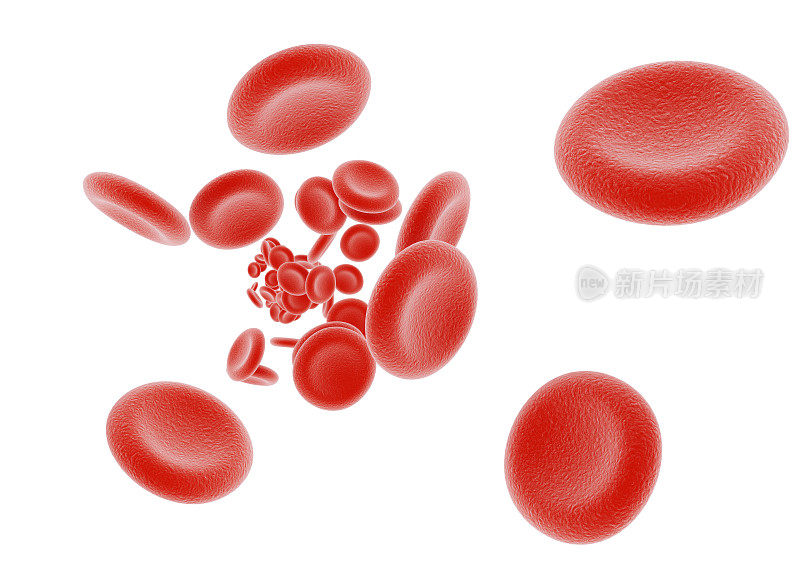 血液细胞。