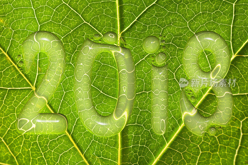 2018，雨落绿叶为背景，2018新年环境理念