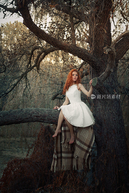 小女孩坐在森林的一棵树上