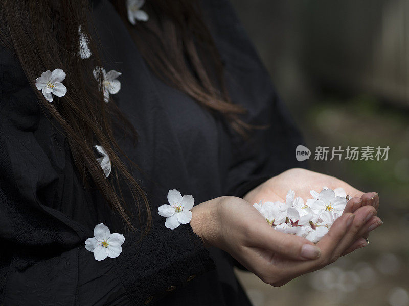 女人手掌上的樱花