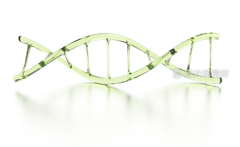 透明的绿色DNA结构