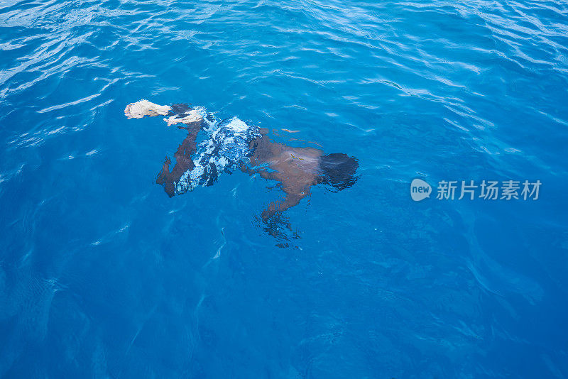 马尔代夫，印度洋上一个从水里出来的男人的变形。