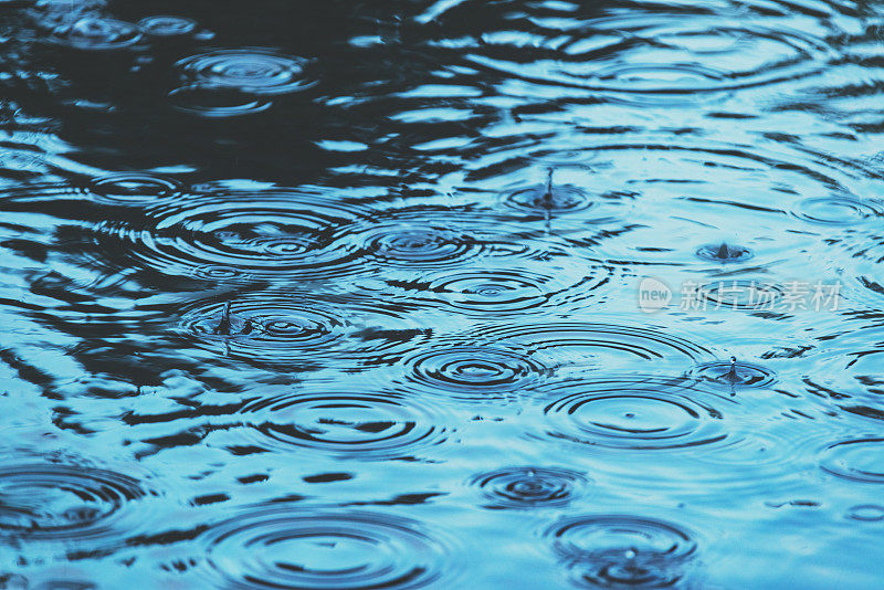 新鲜的雨