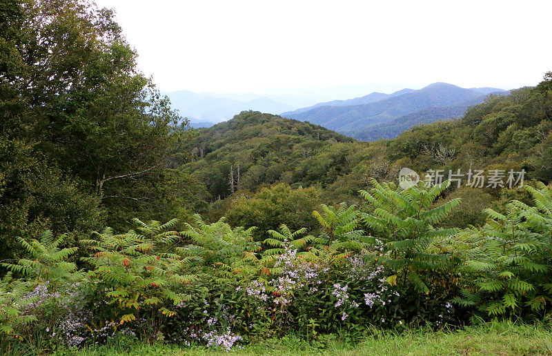 大烟山风景区