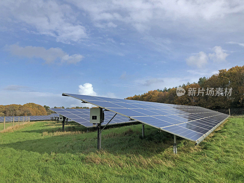 11月多塞特冬季开始时，太阳能电池板的行列