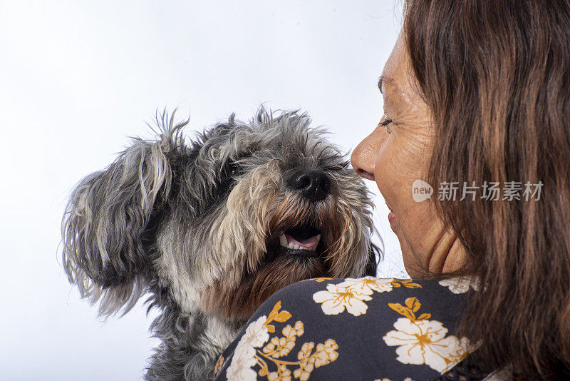 一位女士抱着她的雪纳瑞犬