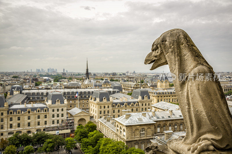 法国巴黎圣母院上的滴水嘴兽