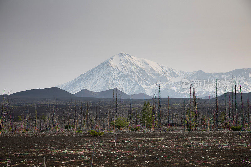 托尔巴奇火山，堪察加半岛，俄罗斯