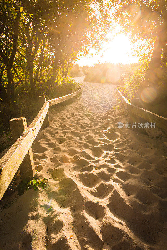 在日出时通过海洋沙丘到海滩的田园诗般的沙地小径