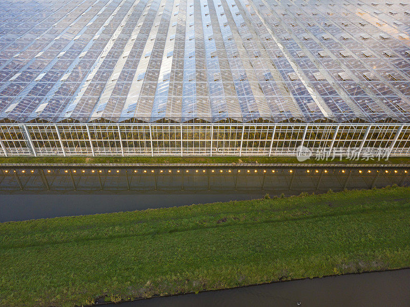 荷兰现代农业温室的鸟瞰图