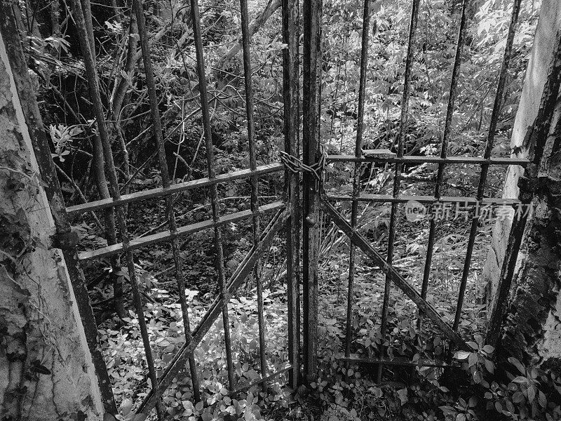 一个废弃的花园后面锁着一扇生锈的旧门
