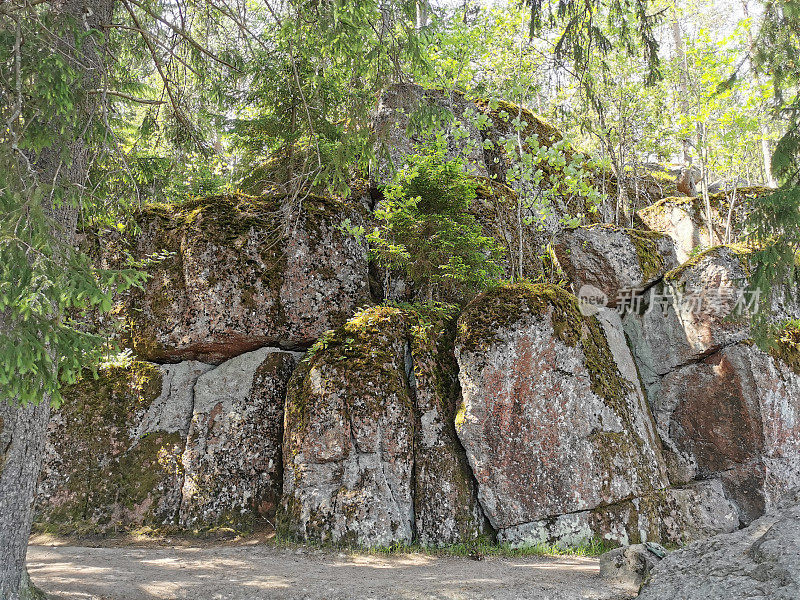 一个晴朗的夏日，维堡的Monrepos岩石自然公园的圆石栅栏。