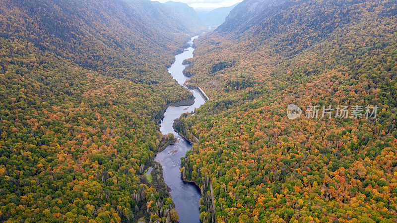 秋季北方森林自然与河流鸟瞰图