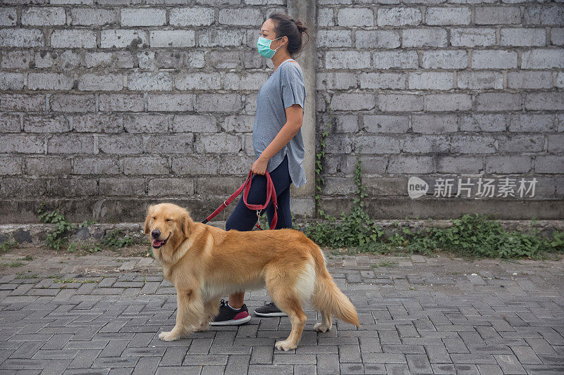 带着保护面具的亚洲妇女走她的金毛寻回犬