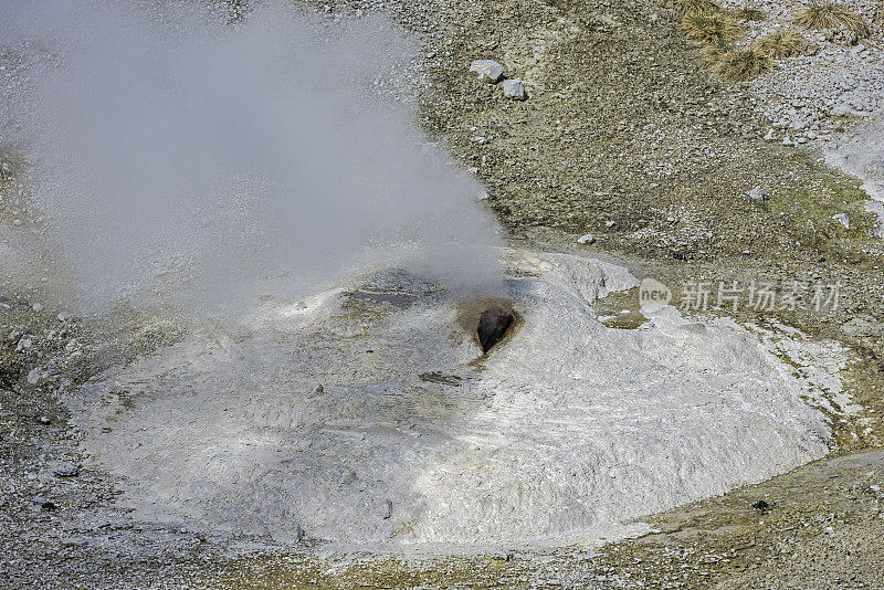 怀俄明州黄石国家公园诺里斯间歇泉盆地的火山喷发地热活动。大量的蒸汽从地下冒出来。