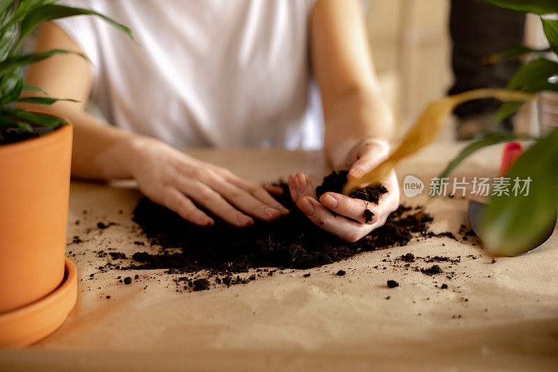 高角度特写的一个不认识的年轻白人妇女照顾她的植物在家里