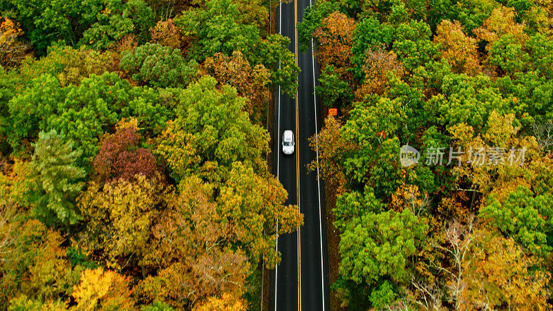 新泽西州秋天树林里的公路的高角度鸟瞰