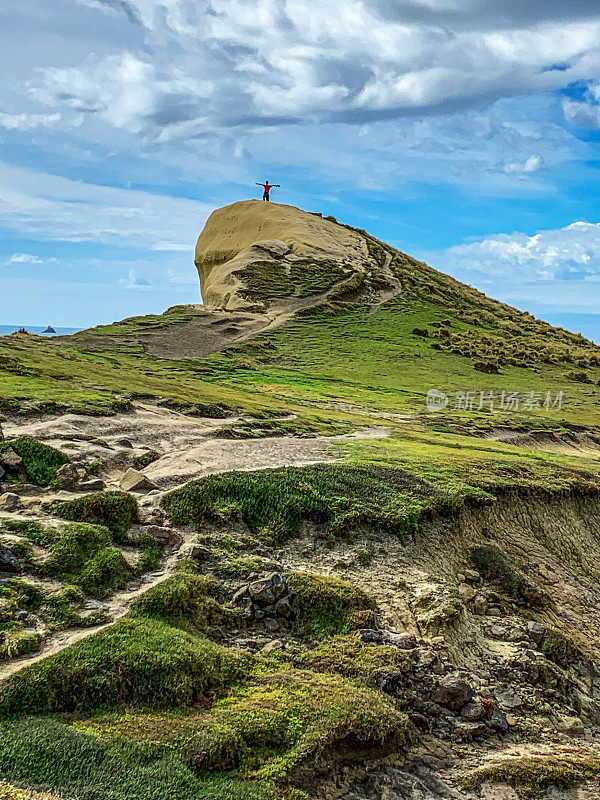 新西兰南岛的隧道海滩，达尼丁，新西兰