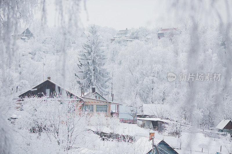 冬天的乡村风景。树顶。冬季森林。树枝上的雪。自然背景。寒冷的天气。气候。霜