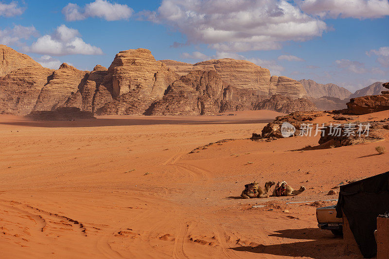 瓦西拉姆沙漠的两头骆驼