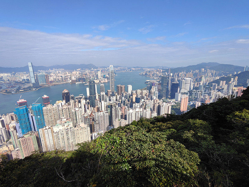 太平山顶的香港市容