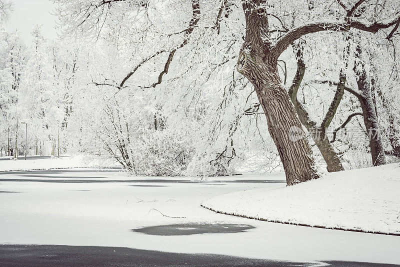 荷兰坎彭城市公园的冬日雪景