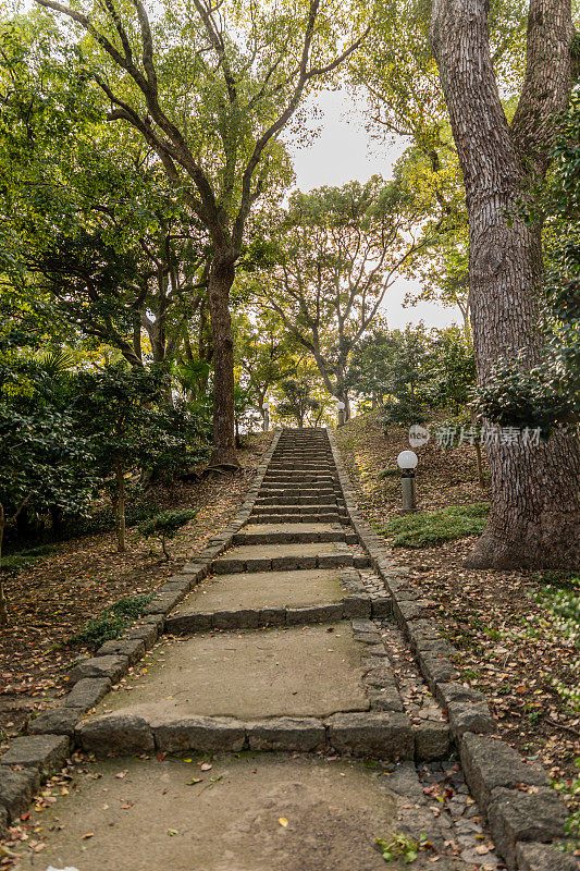 日本天王寺公园附近优雅的街道