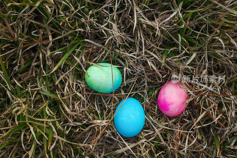 彩色的复活节彩蛋藏起来等着被发现。