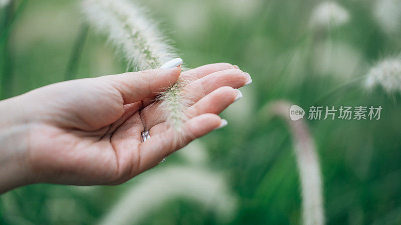 一个温柔的时刻，连接，团结，和温柔的耳语，地球上无尽的奇迹在我们手中展开