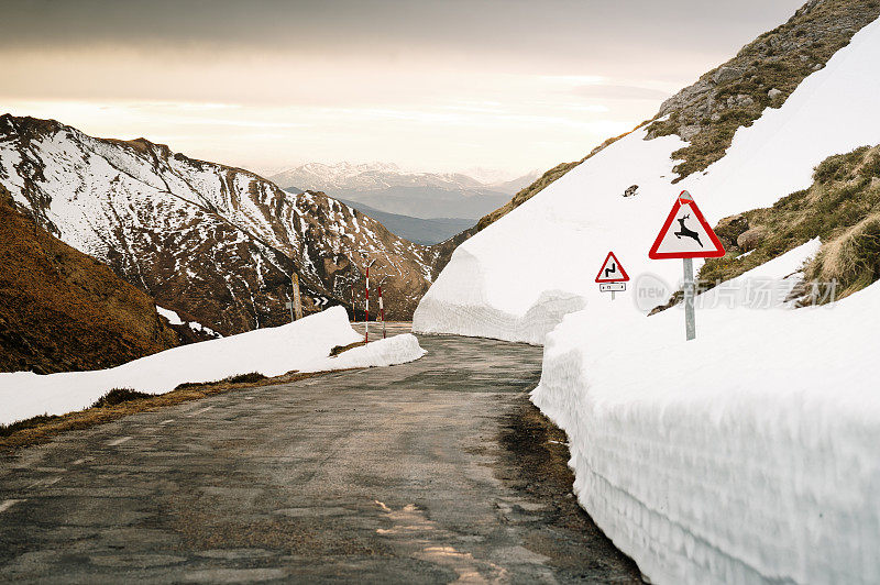 山口路有雪