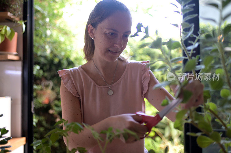 一个女人在照顾她的植物