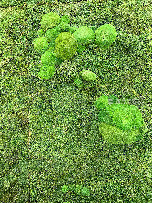 青苔墙，绿色降噪