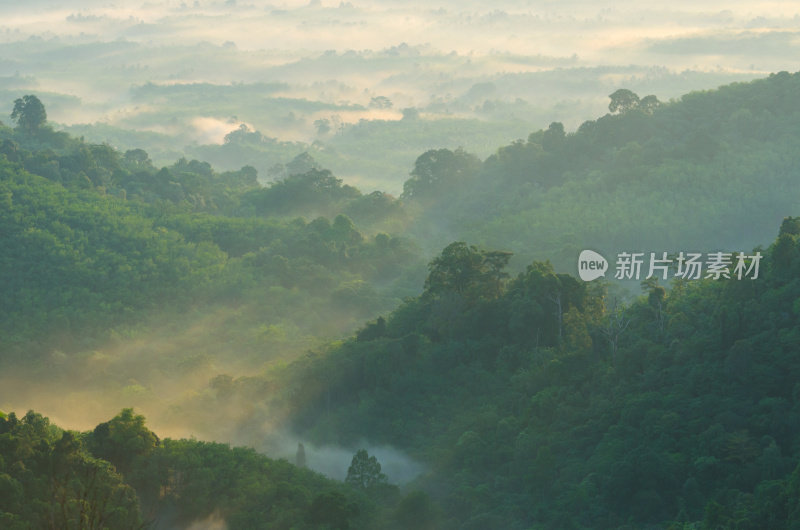 美丽的日出在薄雾清晨的山。