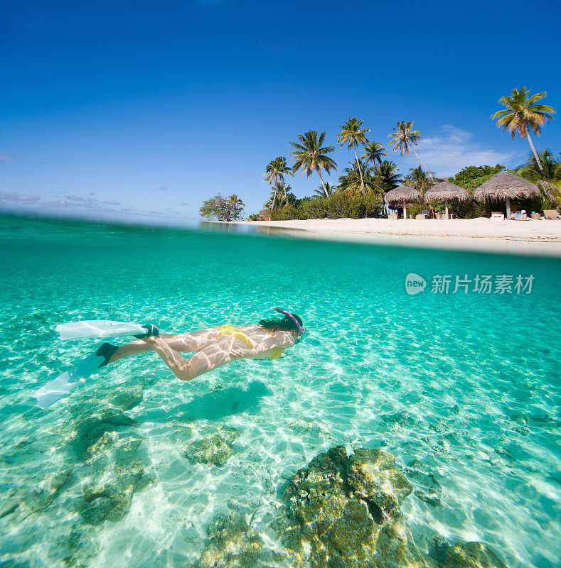 在夏威夷清澈的海水中游泳的女人