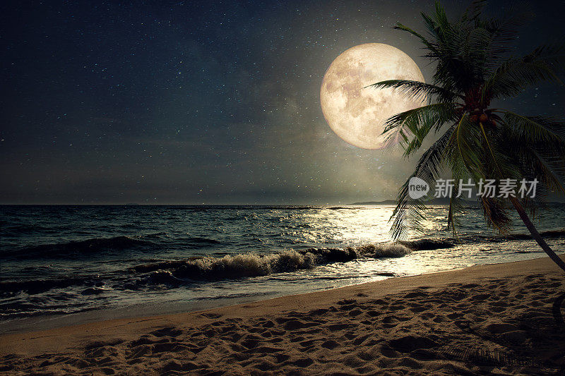 海滩与满月