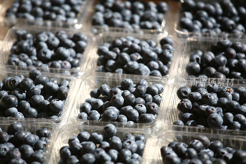 扁篮的蓝莓