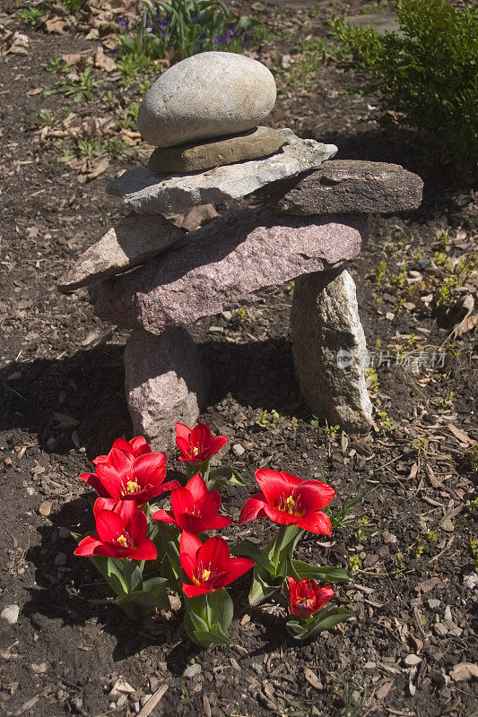 带红花的Inukshuk