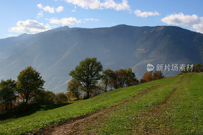 高山牧场